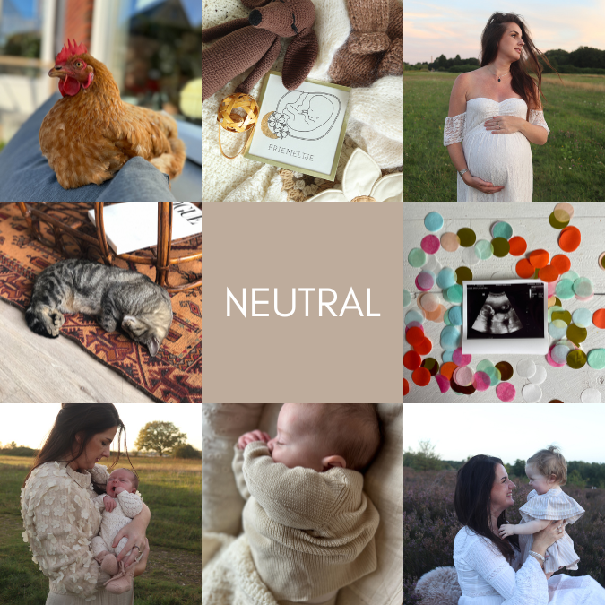 NEUTRAL Preset bundel