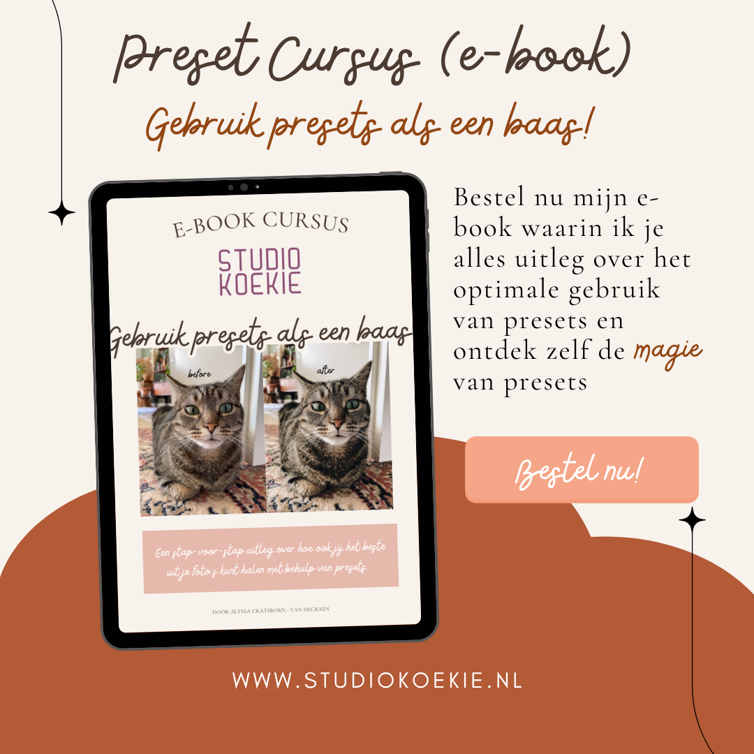 Preset cursus - Gebruik presets als een baas! (e-book)