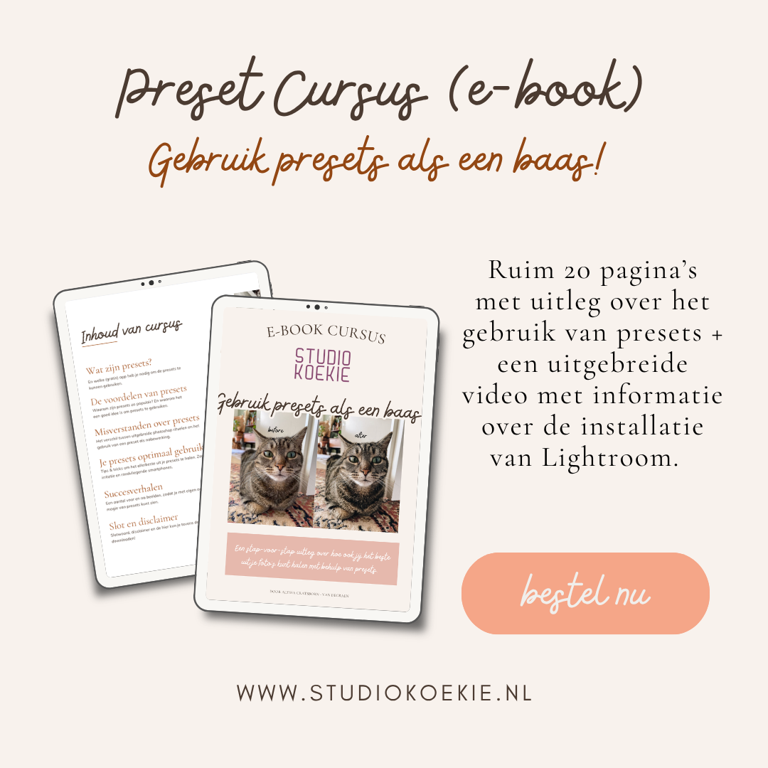 Preset cursus - Gebruik presets als een baas! (e-book)