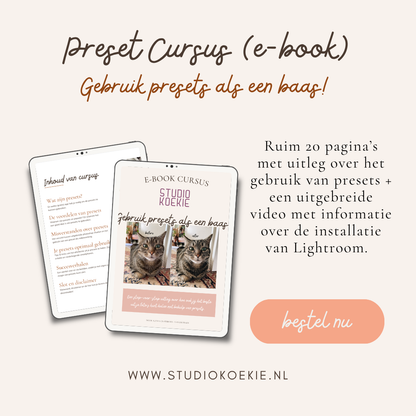 Preset cursus - Gebruik presets als een baas! (e-book)