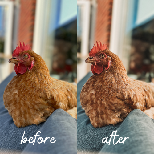 NEUTRAL Preset bundel
