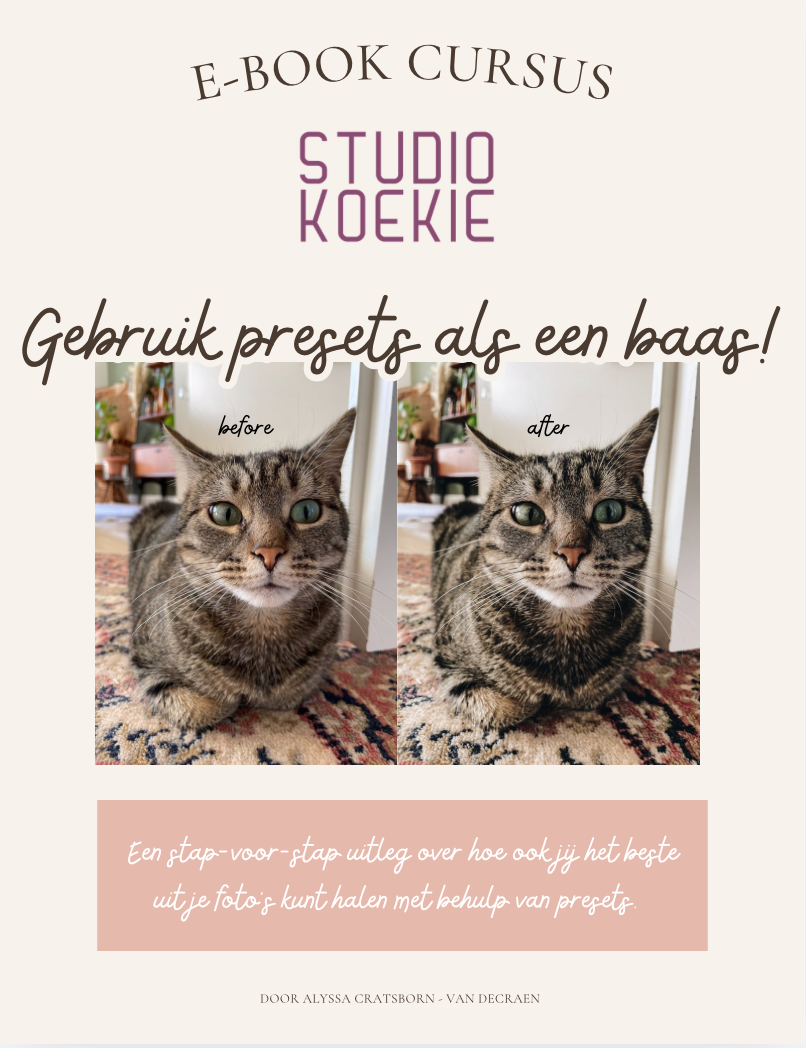 Preset cursus - Gebruik presets als een baas! (e-book)