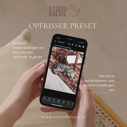 Preset cursus - Gebruik presets als een baas! (e-book)